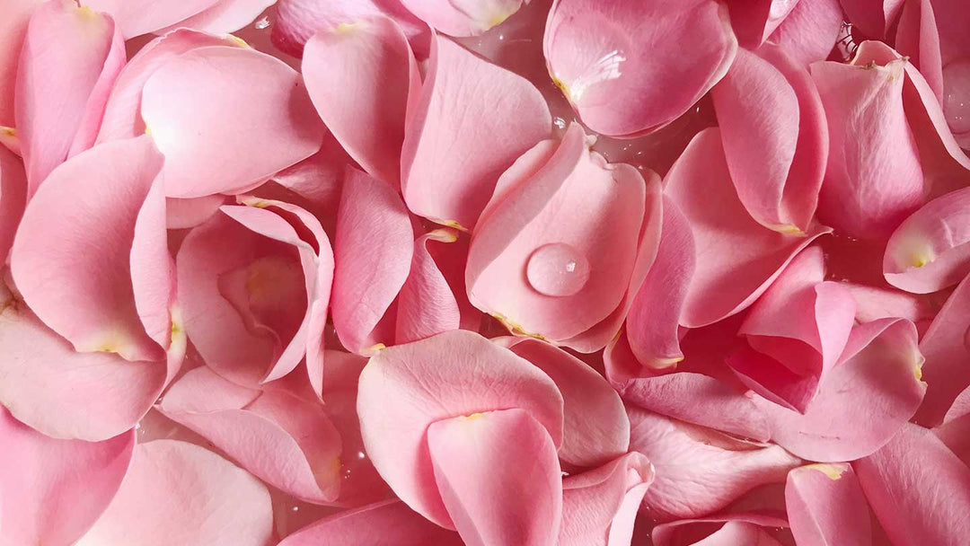 Toutes les vertus de la rose dans la cosmétique - Panier des Sens