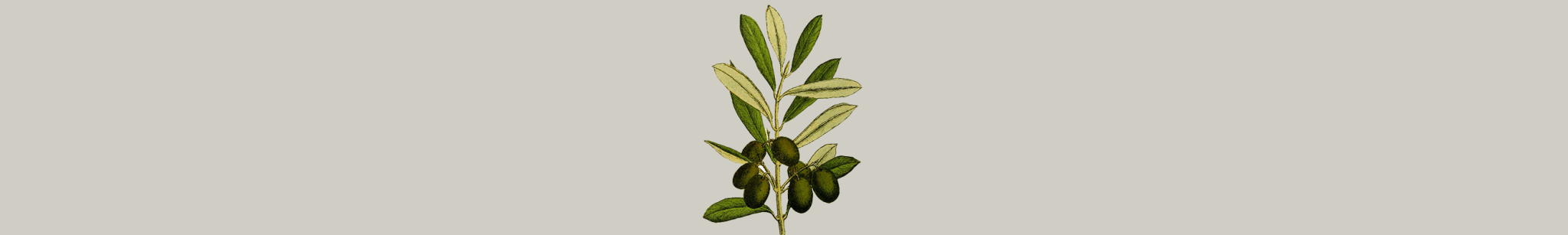Olio d'oliva - Panier des Sens
