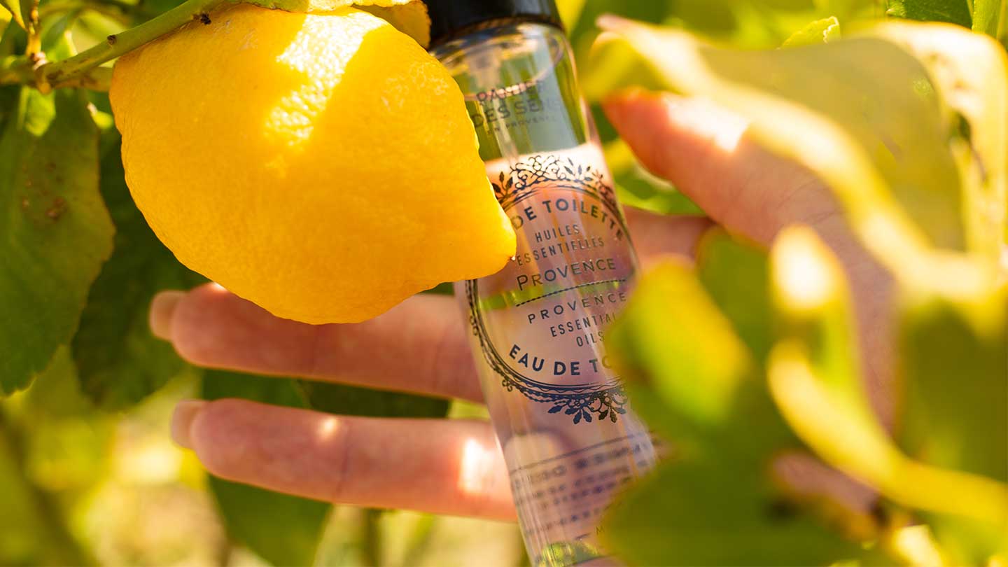 Provence body care - Panier des Sens