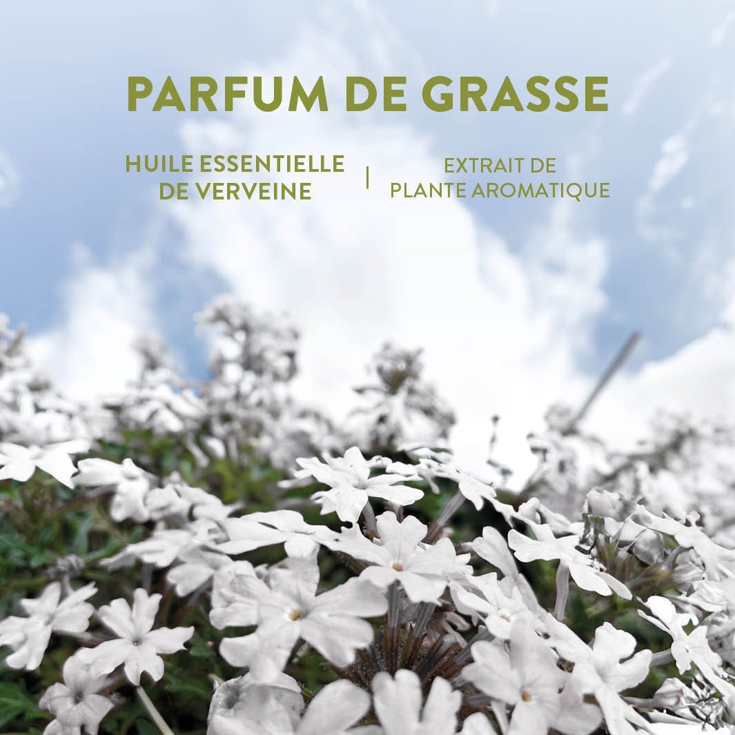 Eau de toilette roll - on - Verbena rilassante 10ml - Panier des Sens