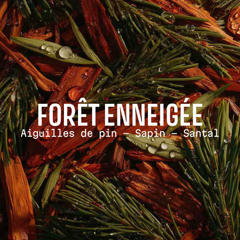 Savon forêt enneigée 200g - Édition limitée de noël - Panier des Sens