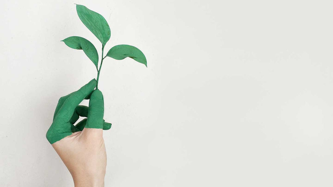 Umweltbewusste Gesten, wie können wir unseren Planeten nach unseren Maßstäben schützen? - Panier des Sens