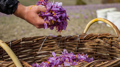All the benefits of saffron in cosmetics