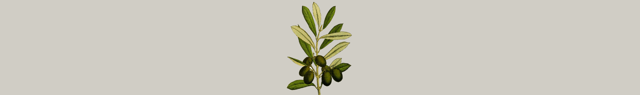 Huile d'olive - Panier des Sens