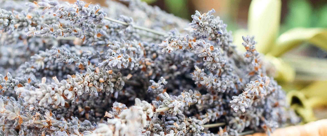 Flüssigseifen mit Lavendel - Panier des Sens
