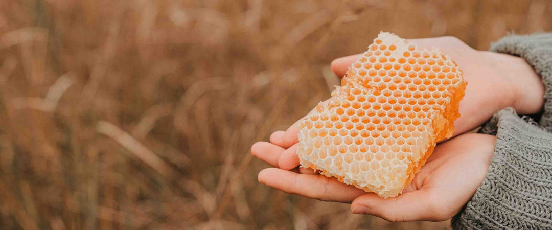 Flüssigseifen mit Honig - Panier des Sens