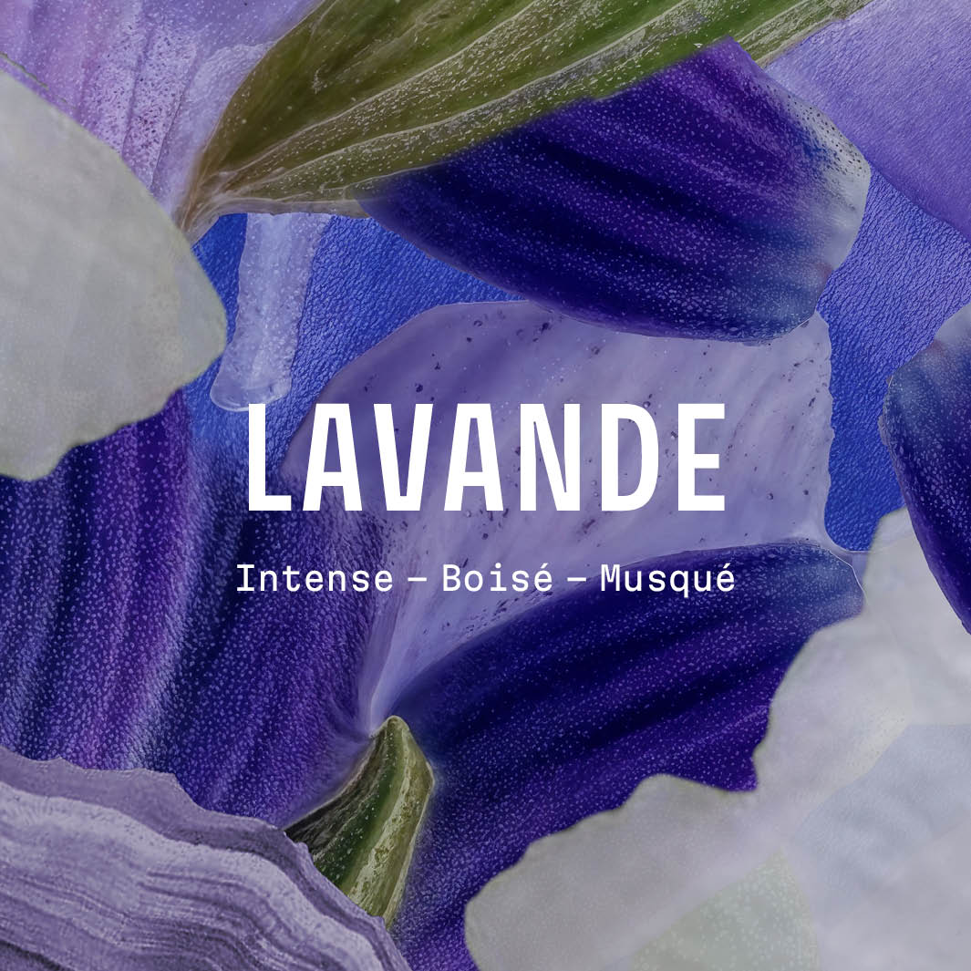 Crema mani - Lavanda 30ml