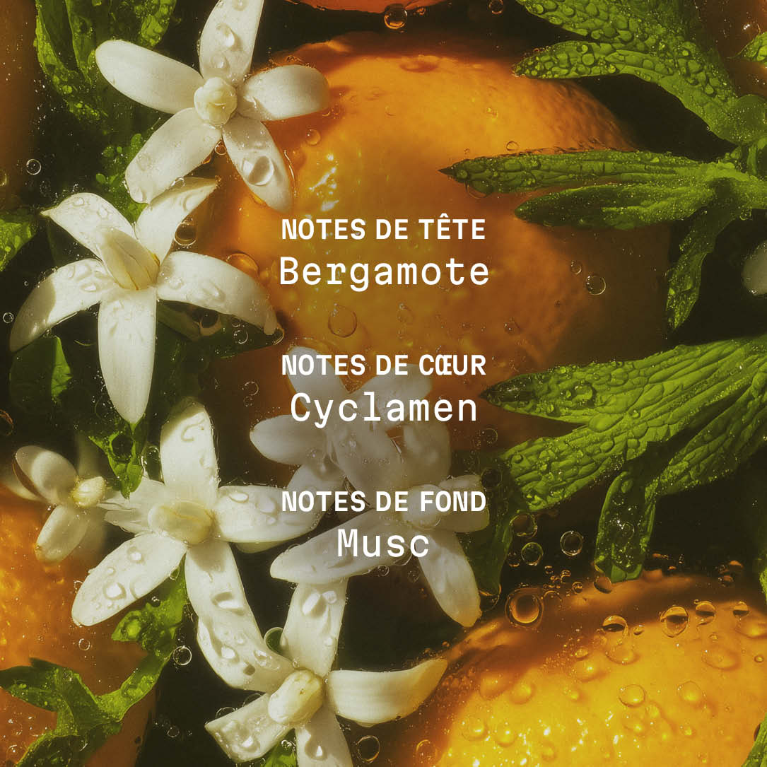 Crème corps parfumée Zeste Riviera - 150ml | Panier des Sens