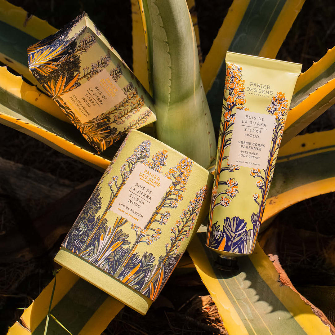 Crème corps parfumée Bois de la Sierra - 150ml | Panier des Sens