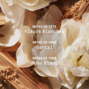 Crème corps parfumée Musc des Sables - 150ml | Panier des Sens