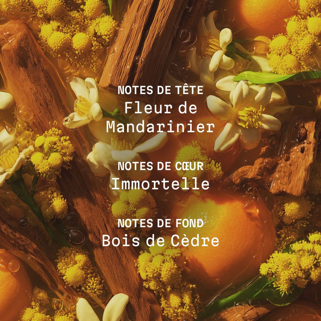 Crème corps parfumée Bois de la Sierra - 150ml | Panier des Sens