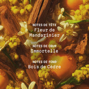 Crème corps parfumée Bois de la Sierra - 150ml | Panier des Sens