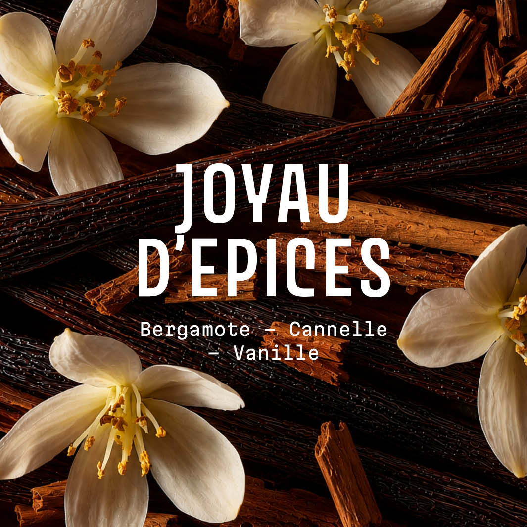 Profumo e sapone natalizio “Joyau d’Épices” 200 g | Panier des Sens