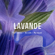 Crema de manos de lavanda - Mini set de Navidad - Panier des Sens