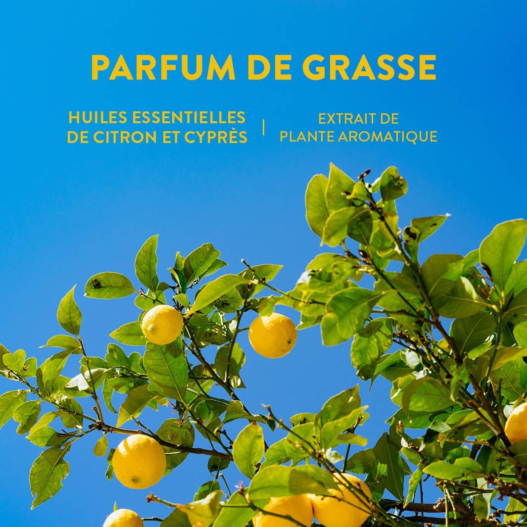 Duo Eau de toilette 50ml y Roll - on 10ml - Provence Energisante - Panier des Sens