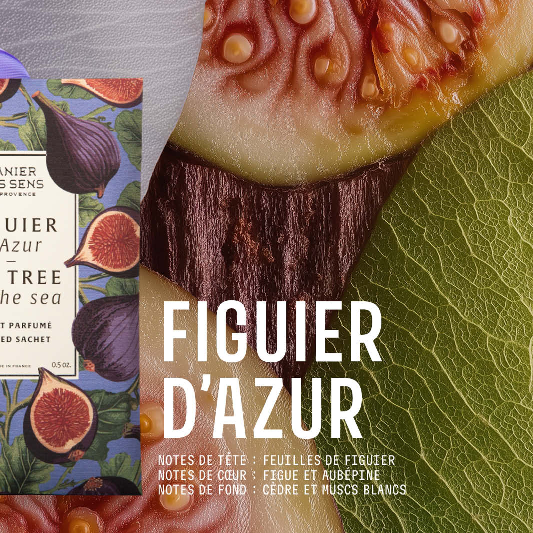 Duftbeutel 15 g Azur-Feigenbaum  Panier des Sens