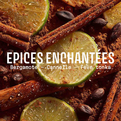 Savon épices enchantées 200g - Édition limitée de noël - Panier des Sens